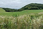 IMG20230809150439