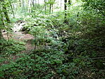 P1010618
