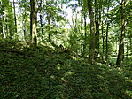 P1010623