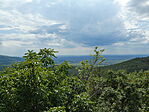 P1020520