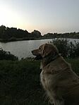 image_67145985