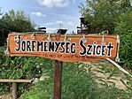 IMG_9908