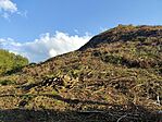 IMG_20230928_170808
