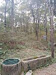 IMG_20230916_111738