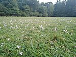 IMG_20230930_140302