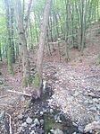 IMG_20230930_111602