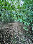 IMG_1969