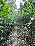 IMG_1968