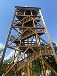 IMG_0894