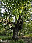 IMG_20230904_164900.jpg