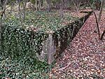 IMG_20230915_070748
