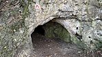 IMG_2284