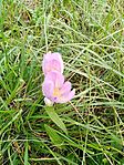 IMG_20230923_144611
