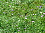 DSC03999