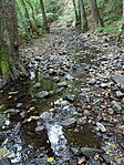 DSC04035
