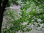 DSC04024