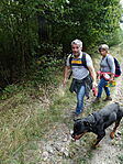 DSC04006