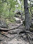 IMG_0967