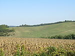 IMG_3842