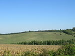 IMG_3857