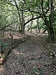 IMG_8402