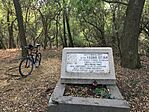 IMG-8400