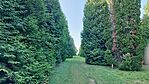 IMG_20230927_165729.jpg