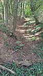 IMG_20230930_143658