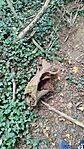 IMG_20230930_142236