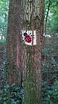 IMG_20230929_181654