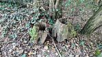 IMG_20230929_180223
