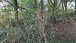 IMG_20230929_175305