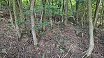 IMG_20230929_175257