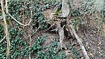 IMG_20230929_174325