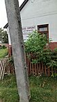 IMG_20230916_122426