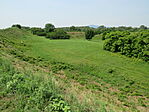 IMG_1772