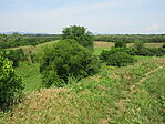 IMG_1787