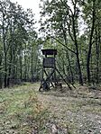 IMG_4071