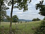 IMG_4082