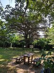 IMG_20230906_112825