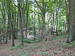 P1020798