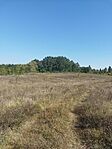 IMG_20230929_132349