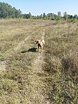 IMG_20230929_132430