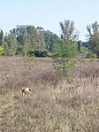 IMG_20230929_132440