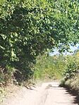 IMG_20230929_132554