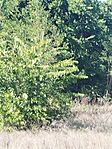 IMG_20230929_132445