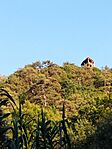 IMG_20230929_172322