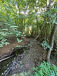 IMG_20230929_164000