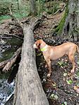 IMG_20230930_114554