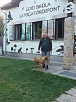 IMG-16bfb8625c522573a6980be8b97281e4-V